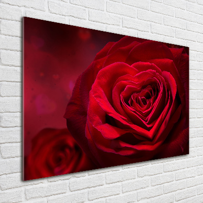 Print on acrylic Red heart rose