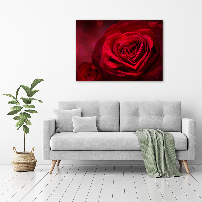 Print on acrylic Red heart rose