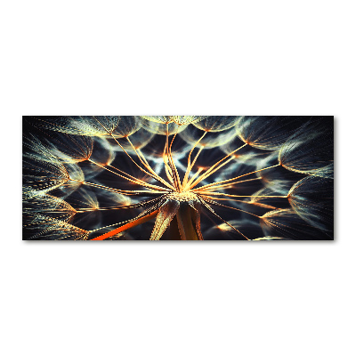 Print on acrylic dandelions