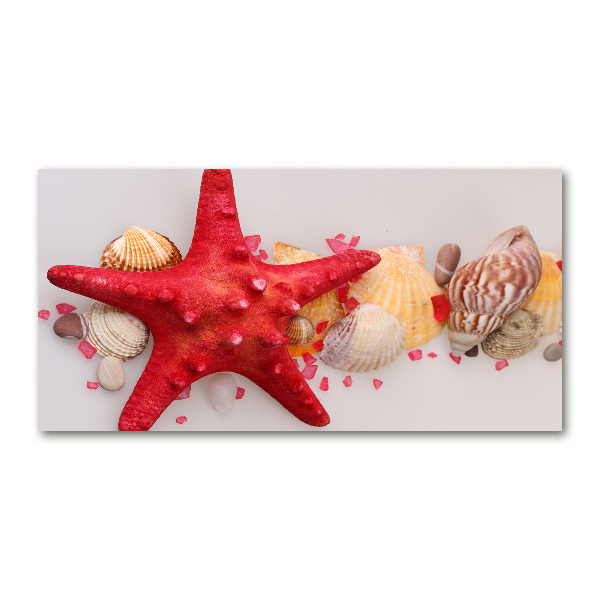 Wall art acrylic Starfish and shells