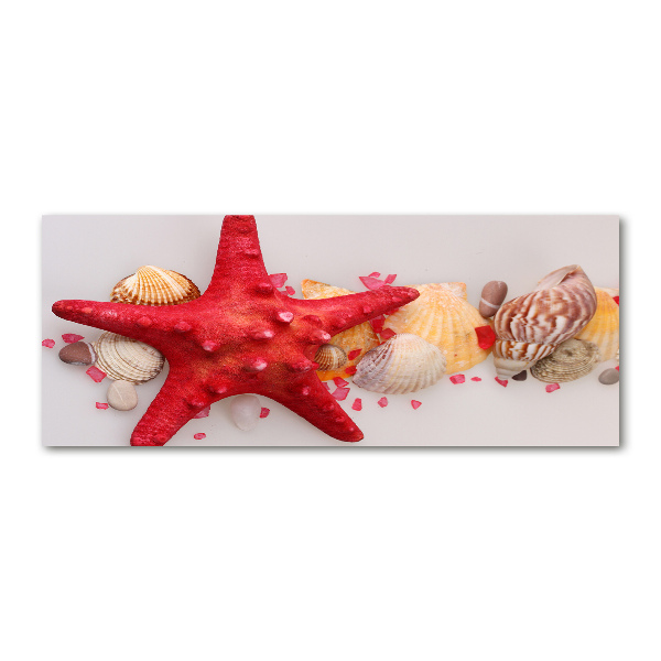 Wall art acrylic Starfish and shells