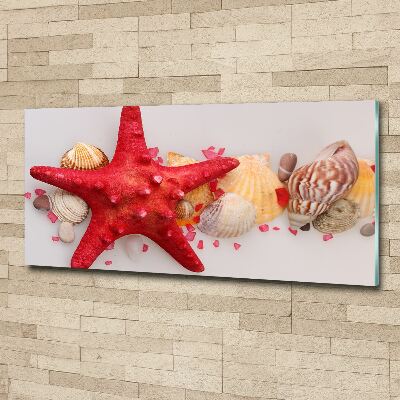 Wall art acrylic Starfish and shells