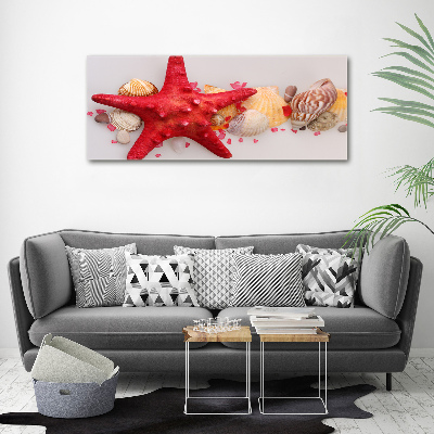 Wall art acrylic Starfish and shells