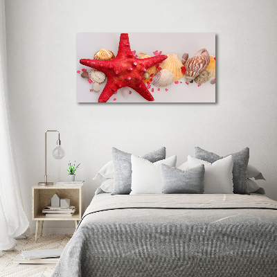 Wall art acrylic Starfish and shells