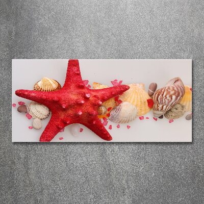 Wall art acrylic Starfish and shells