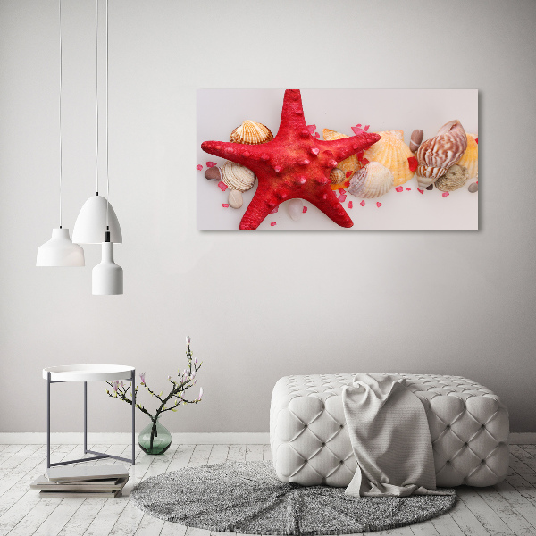 Wall art acrylic Starfish and shells