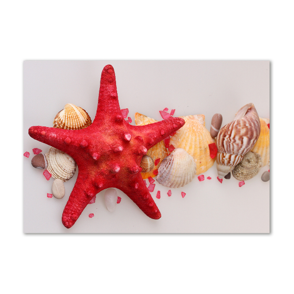 Wall art acrylic Starfish and shells