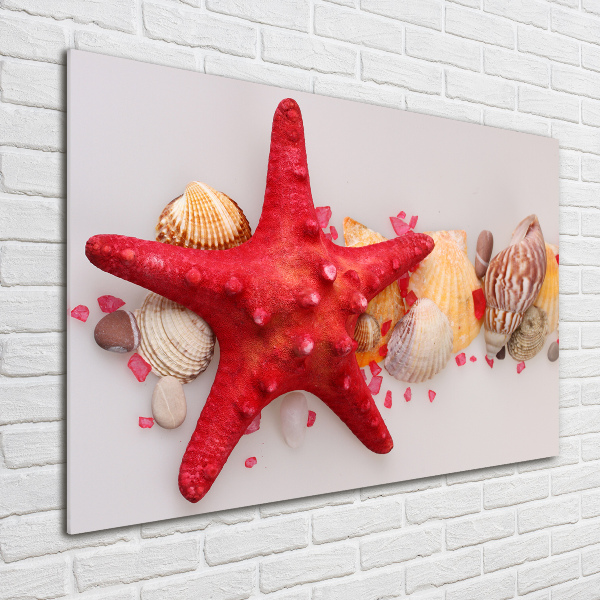 Wall art acrylic Starfish and shells