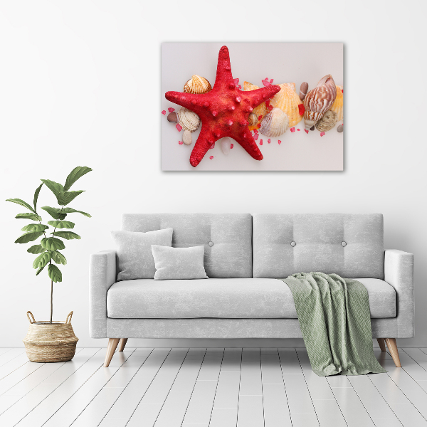 Wall art acrylic Starfish and shells