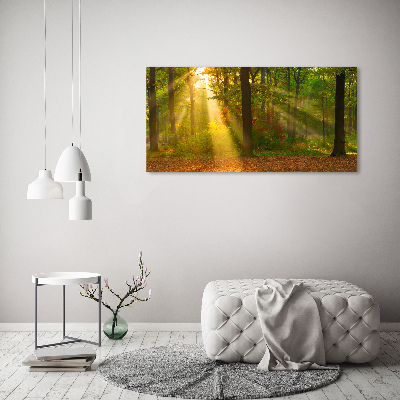 Acrylic wall art Forest in the sun