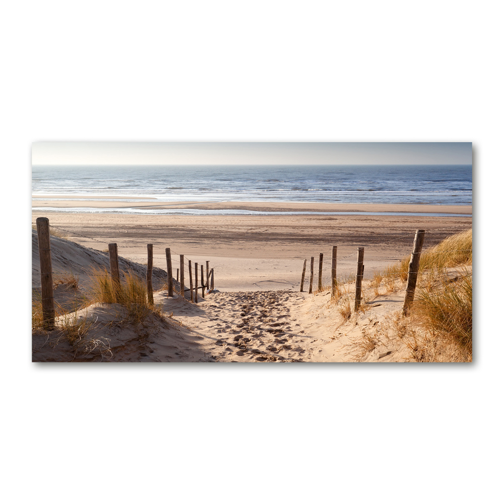 Wall art acrylic Coastal dunes