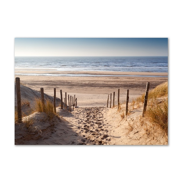 Wall art acrylic Coastal dunes