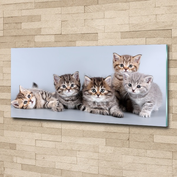 Wall art acrylic Five cats