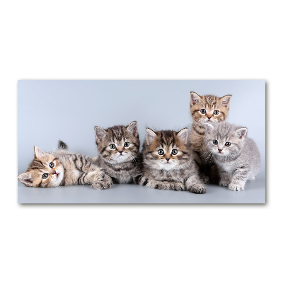 Wall art acrylic Five cats