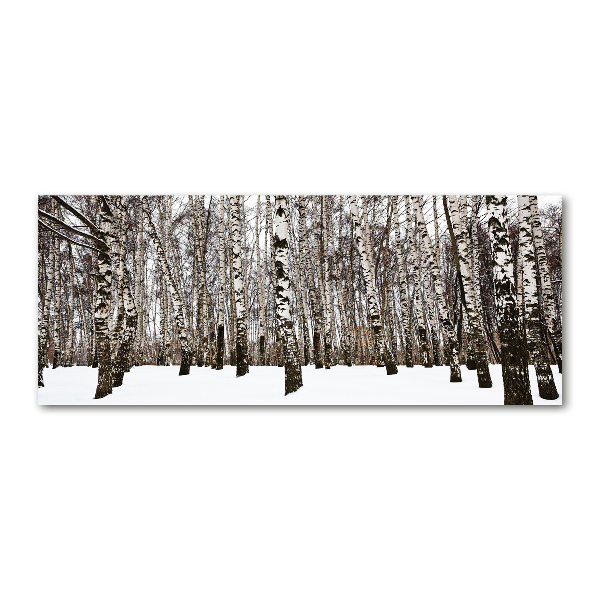 Wall art acrylic Birches in winter