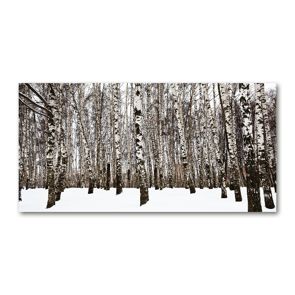 Wall art acrylic Birches in winter