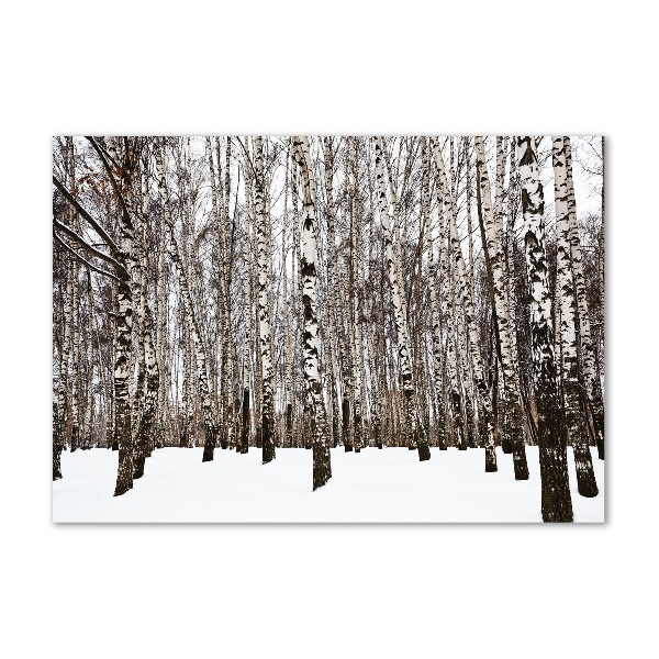 Wall art acrylic Birches in winter