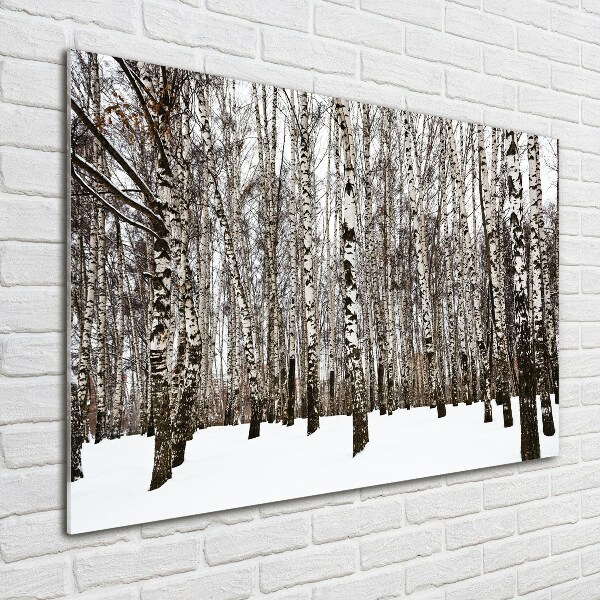 Wall art acrylic Birches in winter