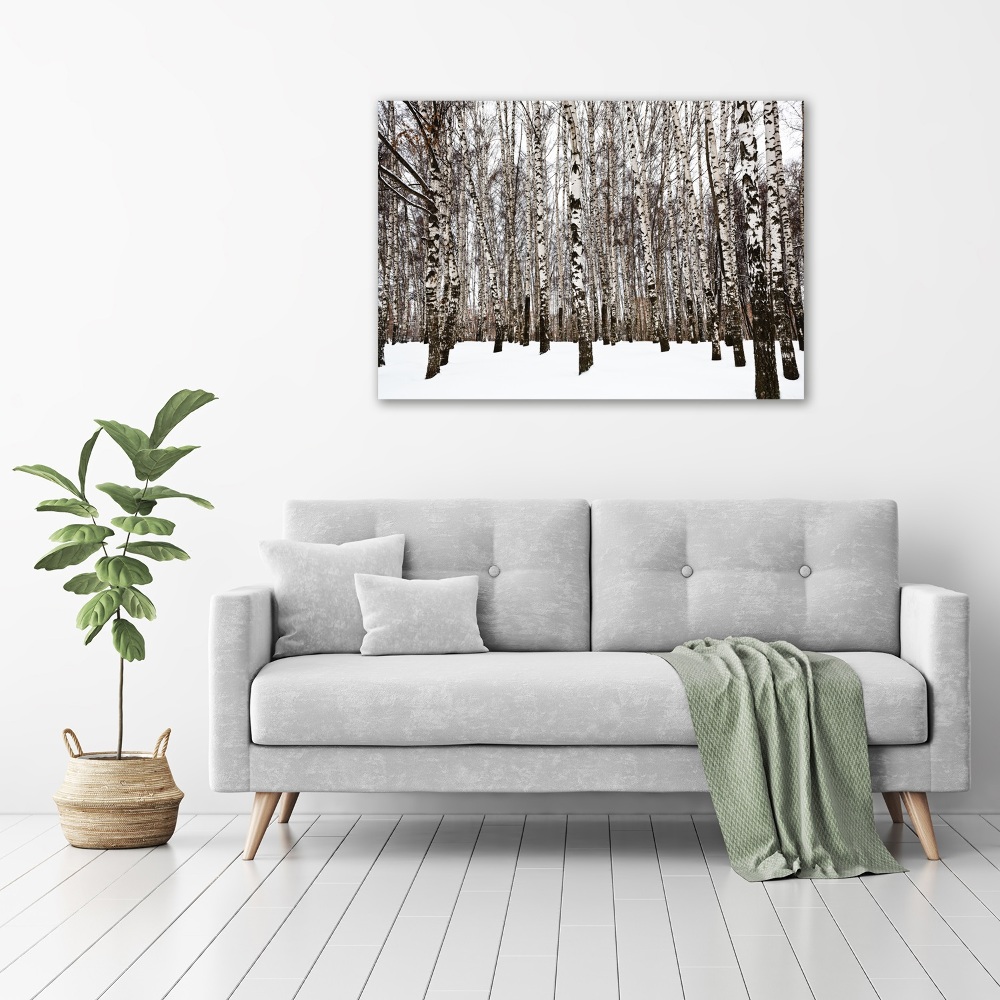 Wall art acrylic Birches in winter