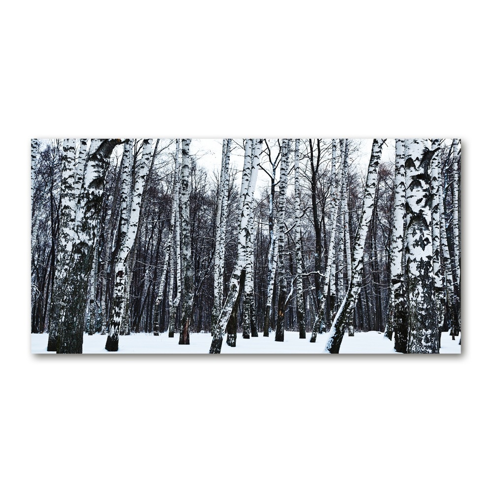 Wall art acrylic Birches in winter