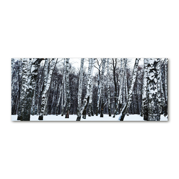 Wall art acrylic Birches in winter