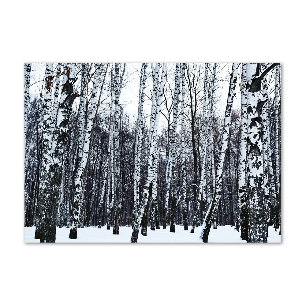 Wall art acrylic Birches in winter