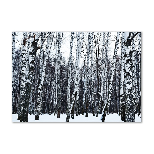 Wall art acrylic Birches in winter