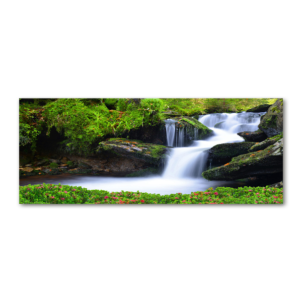 Acrylic wall art Waterfall in the forest