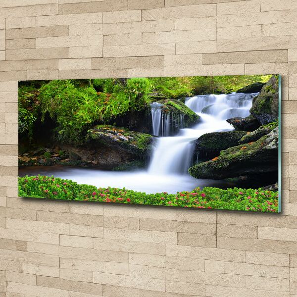 Acrylic wall art Waterfall in the forest