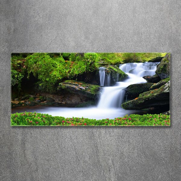 Acrylic wall art Waterfall in the forest