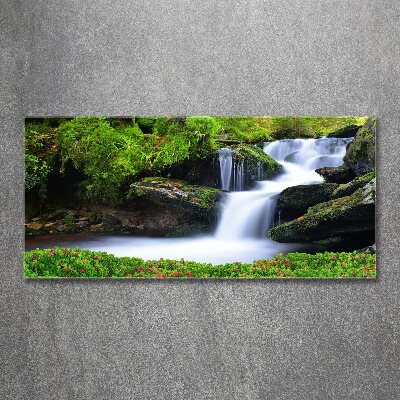 Acrylic wall art Waterfall in the forest