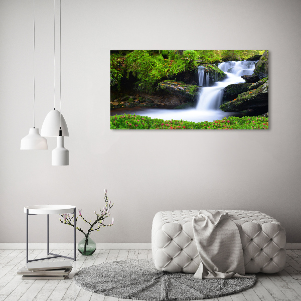 Acrylic wall art Waterfall in the forest