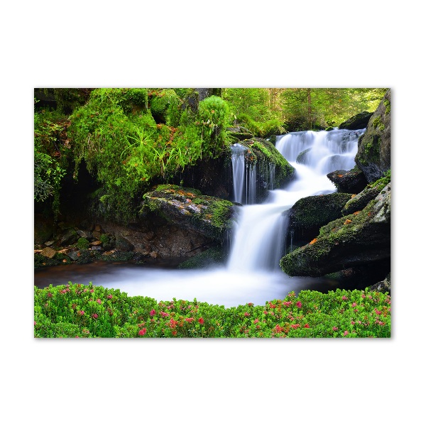 Acrylic wall art Waterfall in the forest