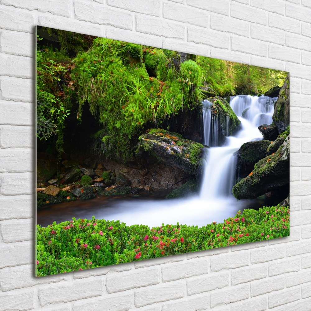 Acrylic wall art Waterfall in the forest