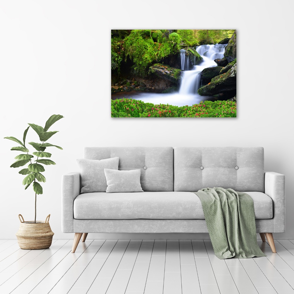 Acrylic wall art Waterfall in the forest