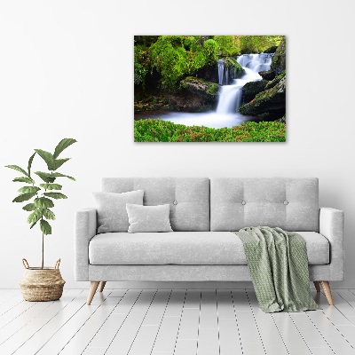 Acrylic wall art Waterfall in the forest