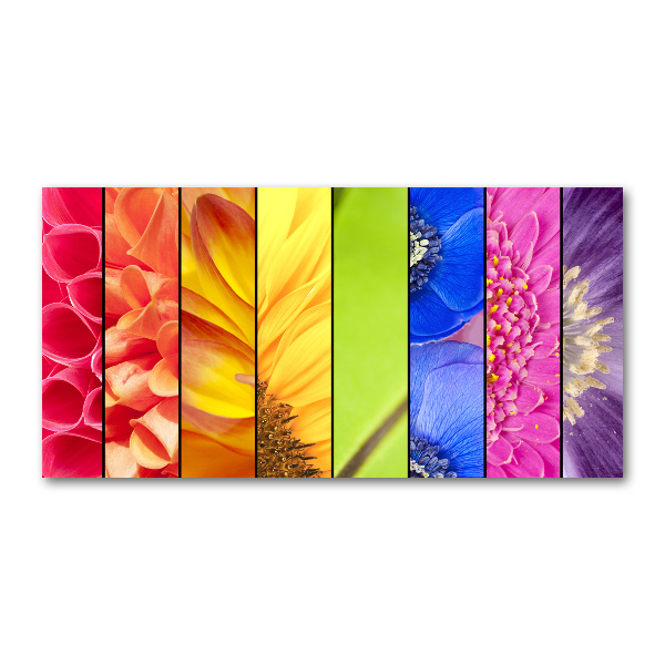 Wall art acrylic Colorful flowers