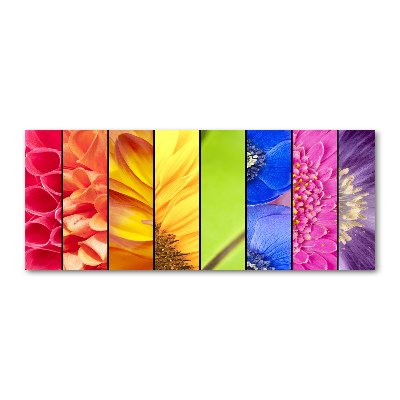 Wall art acrylic Colorful flowers