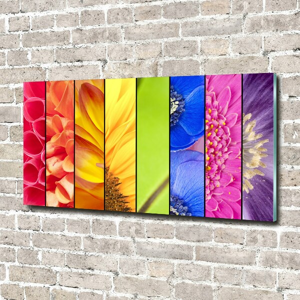 Wall art acrylic Colorful flowers