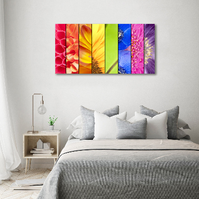 Wall art acrylic Colorful flowers