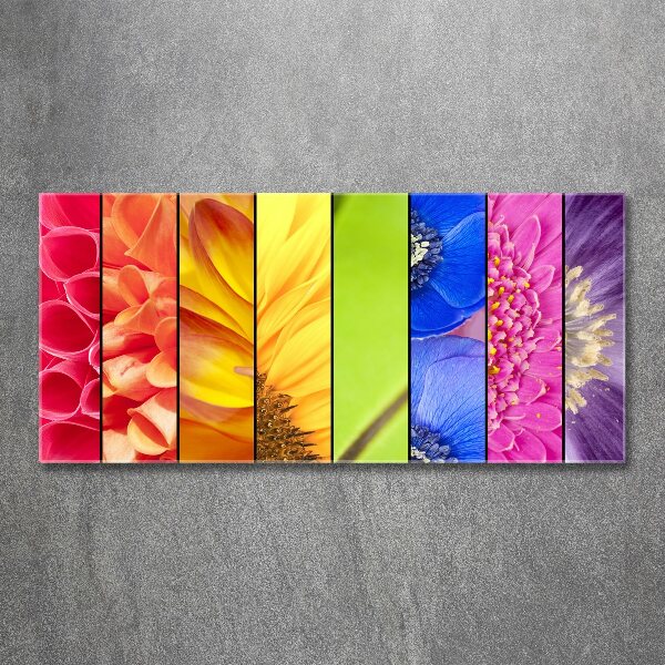 Wall art acrylic Colorful flowers