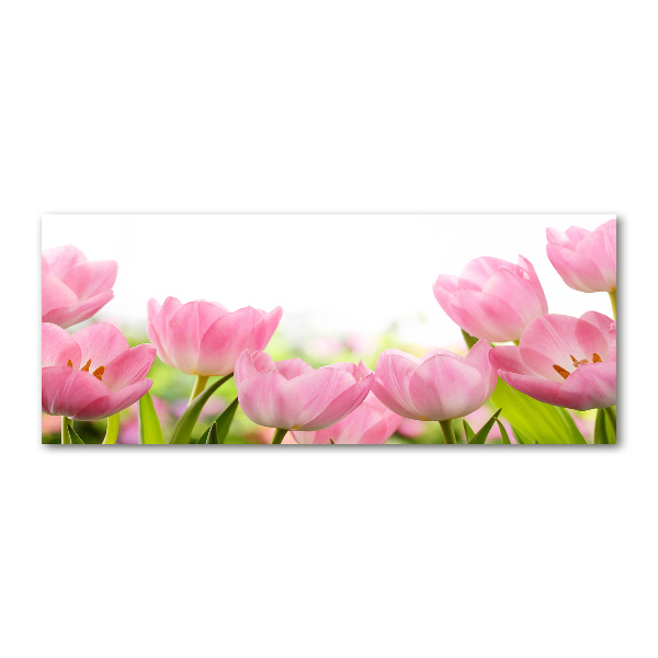 Acrylic wall art Pink tulips