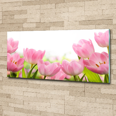 Acrylic wall art Pink tulips