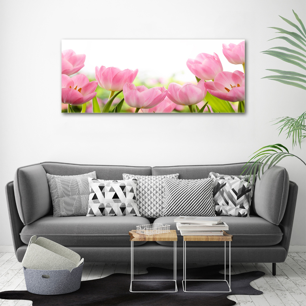 Acrylic wall art Pink tulips