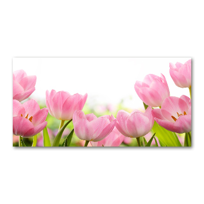 Acrylic wall art Pink tulips