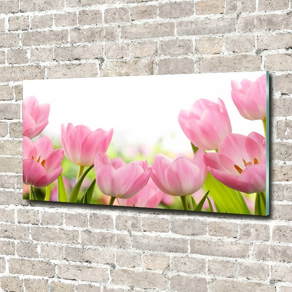 Acrylic wall art Pink tulips