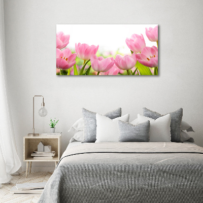 Acrylic wall art Pink tulips