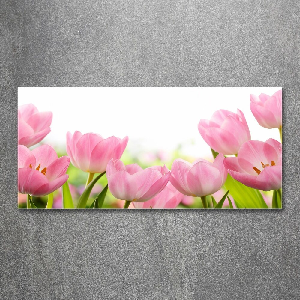 Acrylic wall art Pink tulips