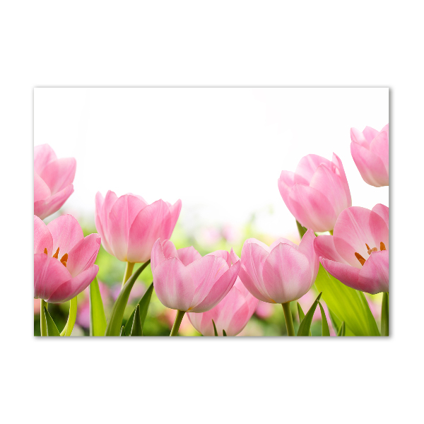 Acrylic wall art Pink tulips