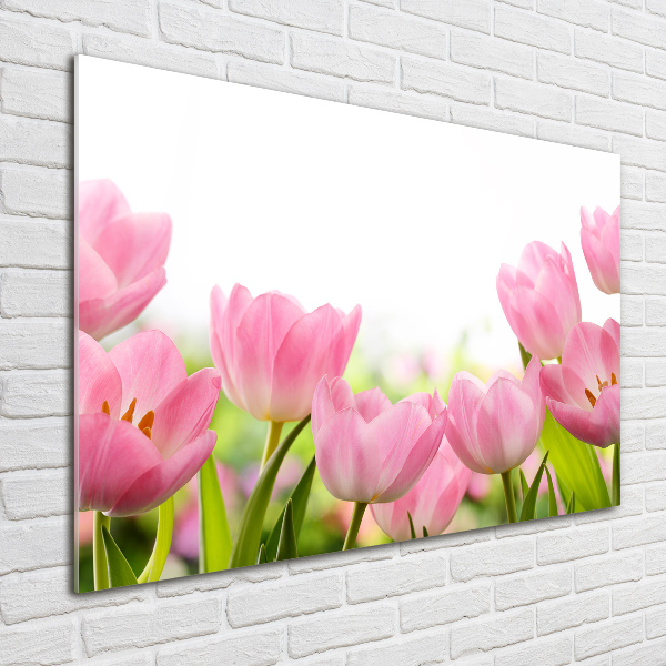 Acrylic wall art Pink tulips